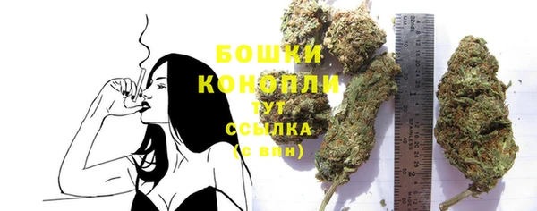 амф Переславль-Залесский