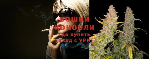 apvp Осинники
