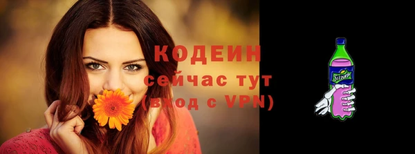тгк Пестово