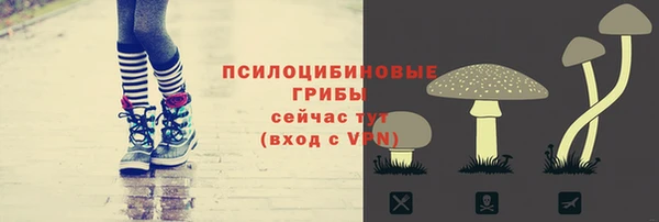 гидропоника Пересвет