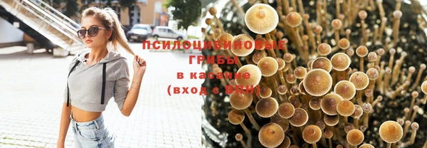 гидропоника Пересвет